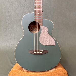 yVizaNueNue Bird MC10 / AkGkG o[hMC10 BF / MOP[Xt