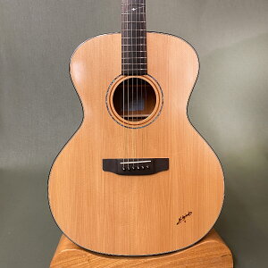 yVizK.C BL-65 K.Yairi BL-65A SG CTM N gotoh SGV-510