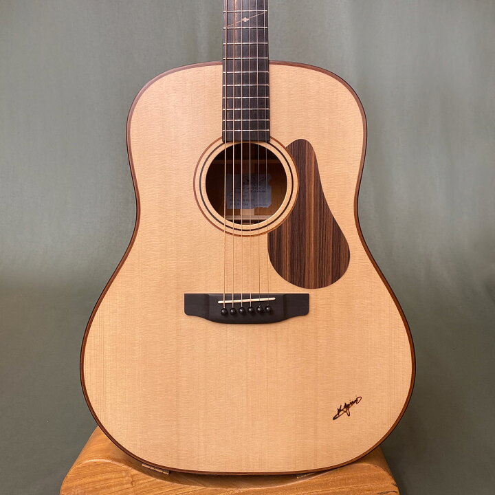 楽天市場】【新品】K. ヤイリ K. Yairi DR-WD110 ヤイリイズム Yairi 