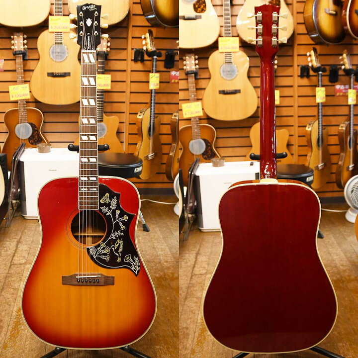 楽天市場】【中古】Orville by Gibson Hummingbird : 下倉楽器 楽天市場店