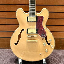 楽天市場】epiphone ii sheratonの通販