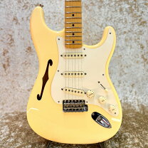 楽天市場】eric johnson stratocaster（エレキギター｜ギター 
