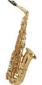 SELMER ALTO AXOS【アクソス】GP TONE