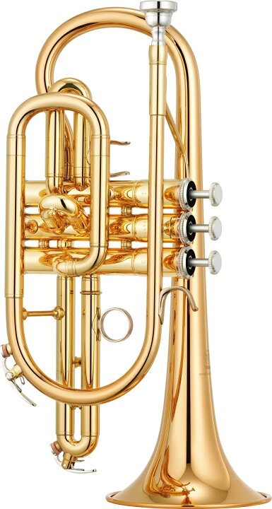 楽天市場】YAMAHA コルネット YCR-4330G【初心者にも嬉しい入門・ケア  