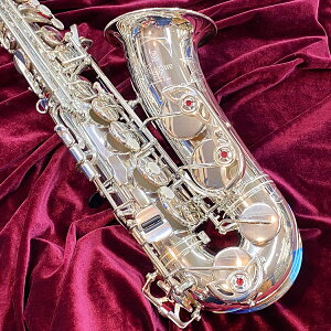 【カスタムEXモデル】YAMAHA YAS-875EXS【即納可能】