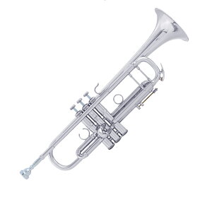 BbgybgV.Bach@AB190SP yThe Artisan Collectionz