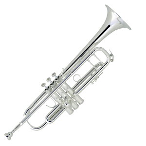 V.Bach Bbgybg 180ML37SPCG[uXxE⃁bLdグ