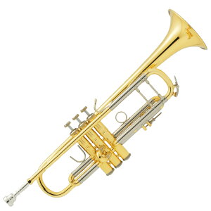 V.Bach Bbgybg 180ML37GLCG[uXxEbJ[dグ