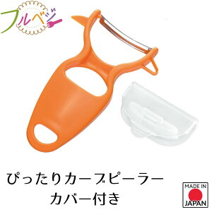 yHƌVbvzy[J[ z{ txW҂J[us[[Jo[t FV-668 Z  O ȒP pi T_ S qI J[un