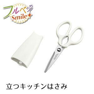 yHƌVbvzy[J[ ztxWX}C Lb`͂ FVS-403