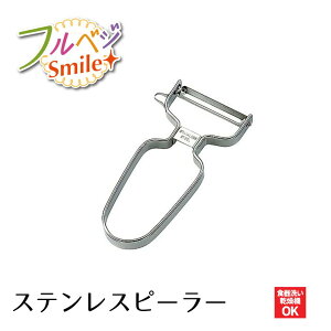 yHƌVbvzy[J[ ztxWX}C XeXs[[ FVS-602 ނ s[[  g  g  v 100  􂢕  ނ