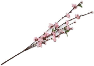 }@2@S64cm@}yxpz {x  } }  ǂ  ㌀ ԁ@@TN