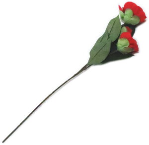 }@ց@S42cm@}yxpz {x  }  ǂ  ㌀ ԁ@΂@coL