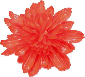 LN@a14cm@vXeBbNyxpz {x  }  ǂ  ㌀ ԁ@@e@R`Ԋ}@͂Ȋ}@Ԋ}x