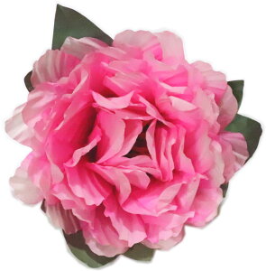 O@sN@a20cm@Ԋ}p@yxpz {x  }  ǂ  ㌀ ԁ@{^@ڂ@R`Ԋ}@͂Ȋ}@Ԋ}x