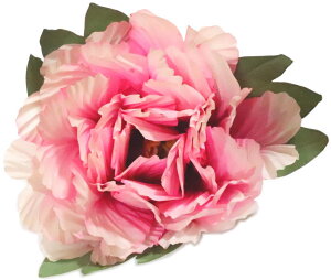 O@WsN@a21cm@Ԋ}p@yxpz {x  }  ǂ  ㌀ ԁ@{^@ڂ@R`Ԋ}@͂Ȋ}@Ԋ}x