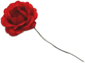 o@ԁ@a5cm@Ԋ}p@yxpz {x  }  ǂ  ㌀ ԁ@΂@KN@R`Ԋ}@͂Ȋ}@Ԋ}x