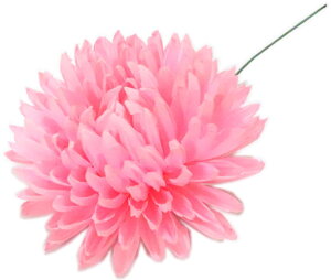 킯@LN@ԁ@a10cm@yxpz {x  }  ǂ  ㌀ ԁ@@e@R`Ԋ}@͂Ȋ}@Ԋ}x