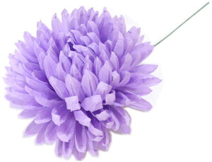 LN@p[v@a10cm@@yxpz {x  }  ǂ  ㌀ ԁ@@e@R`Ԋ}@͂Ȋ}@Ԋ}x