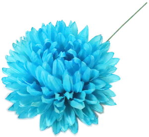 LN@u[@a10cm@@yxpz {x  }  ǂ  ㌀ ԁ@@e@R`Ԋ}@͂Ȋ}@Ԋ}x