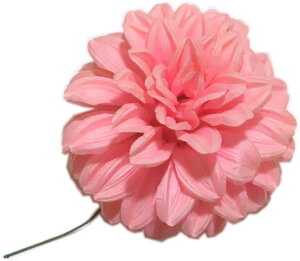 _A@sN@a10cm@yxpz {x  }  ǂ  ㌀ ԁ@R`Ԋ}@͂Ȋ}@Ԋ}x