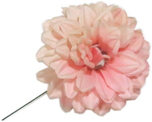 _A@WsN@a10cm@yxpz {x  }  ǂ  ㌀ ԁ@R`Ԋ}@͂Ȋ}@Ԋ}x