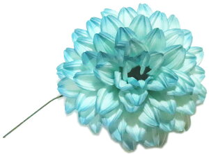 _A@u[{JV@a10cm@yxpz {x  }  ǂ  ㌀ ԁ@R`Ԋ}@͂Ȋ}@Ԋ}x