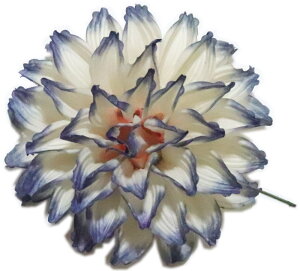 _A@p[v{JV@a10cm@yxpz {x  }  ǂ  ㌀ ԁ@R`Ԋ}@͂Ȋ}@Ԋ}x