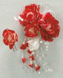 �Ԃ��񂴂��@�ԁ@���񂴂��@�ρy�a�G�݁E�a�����z������