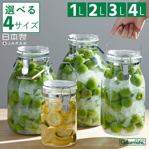 【ポイント5倍】【特典付送料無料】セラーメイト 取手付密封びん 1L 2L 3L 4L ガラス 梅酒瓶 梅酒 ビン 密封瓶 手作り 梅ジュース 果実酒瓶 キャニスター 密閉保存容器 脱気 真空 調味料入 日本