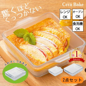 全国送料無料 グラタン皿 スクエア 2点セット S1個＋M1個 ガラス セラベイク Cera Bake スクエアロースター S M 大皿 おしゃれ オーブン 耐熱容器 耐熱皿 耐熱ガラス 焦げ付かない 電子レンジ 食洗機対応 お菓子作り 焼き菓子