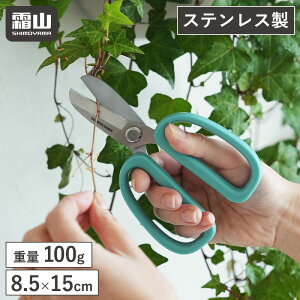  nT~ | ͂  d100g |͂ n4.5cm XeX K[fjO ƒ؉ |nT~ S15cm Kтɂ ₷ ₷ nT~   n  t