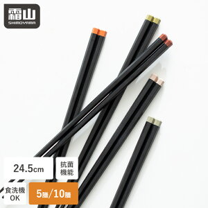 【特典付】箸 食洗機対応 5膳 10膳 すべらない お箸 おしゃれ おはし 24.5cm 大人用 転がらない 六角形 抗菌 滑り止め付き 5色 握りやすい 和食 洋食 テーブルウェア シンプル 無地 男性 女性 ブ