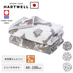 今治タオル 毛落ちしにくい バスタオル ミニ 2枚 セット 選べる 綿100% 44×100cm タオル ギフト やわらかい 日本製 ふわふわ 赤ちゃん メンズ レディース プレゼント 今治 ループ付 ハートウエル