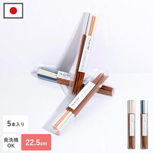 CLASEEK PRISM �� ���� 22.5cm 5�V�Z�b�g ��l�p 2�� ���{�� ������� �M�t�g �v���[���g �|�� �V�R�f�� ����Ȃ� �Ƒ� �� �p�X�e���J���[ ���ׂ�Ȃ� 5�F �O���|�[�g