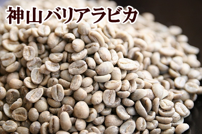 下山珈琲 春先取りの SALE 神山バリアラビカ コーヒー豆 増量250g
