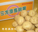 【こだわり野菜】静岡県三方ヶ原馬鈴薯【北あかり】じゃがいも約1kg～10kg箱　Mサイズ～2Lサイズお取り寄せグルメ　送料無料　産地厳選　新じゃがいも【きたあかり】静岡県産ホクホクの馬鈴薯をお届けします。6月中旬頃から予定