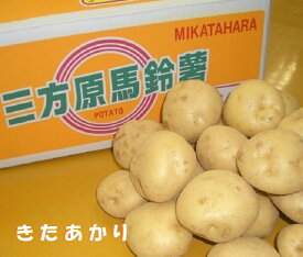 【こだわり野菜】送料無料　産地厳選　新馬鈴薯　静岡県産三方原じゃがいも【北あかり】　約10K箱　ホクホクの馬鈴薯をお届けします。6月上旬より