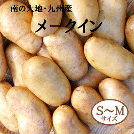 【新メークイン】S-Mサイズ約5K箱　南の大地・九州産送料無料 芋煮　肉じゃが　カレー　シチュー　コロッケ　色々なお料理に
