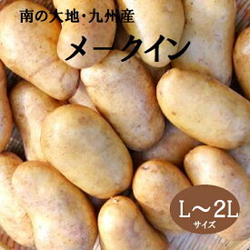 【新メークイン】L-2Lサイズ約10K箱　南の大地・九州長崎・鹿児島送料無料 芋煮　肉じゃが　カレー　シチュー　コロッケ　色々なお料理に