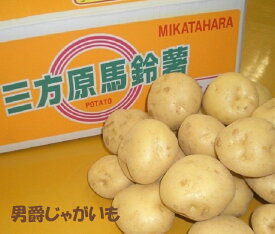 【こだわり野菜】静岡県産三方原ジャガイモ【男爵】約3K箱　この時期しか味わえない春のじゃがいも　⇒送料無料