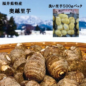  |bL1000~􂢂Ƃ500gy^܁z䌧zY ȒPII􂢗삳Ƃ@zO엢@TgC@䗢@݂傤ƂEϕEρEς낪y
