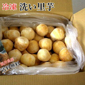 【冷凍】福井県特産洗い里芋約秀品　1kg　3kg　5kg　10kg芋煮会・芋煮・煮物⇒送料無料　冷凍里芋　洗い里芋　越前里芋　上庄里芋　福井県のブランド里芋　大野さといも　越前大野里芋　サトイモ　福井里芋　かみしょうさといも　業務用