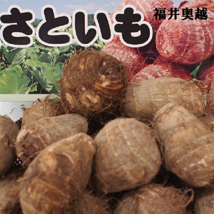 楽天市場 100ケース限定企画 福井県特産越前里芋約4k箱 青秀 御歳暮 おせち料理 煮物 おでん 豊かな自然で育った他の県の里芋とは全く違う食感の 里芋です 上庄里芋 テラル越前 大野 勝山 さといも 芋煮 煮っころがし 福井くいしんぼ楽天市場店 楽天市場 100ケース限定企画 福井県特産越前里芋約4k箱 青秀 御歳暮 おせち料理 煮物 おでん 豊かな自然で育った他の県の里芋とは全く違う食感の 里芋です 上庄里芋 テラル越前 大野 勝山 さといも 芋煮 煮っころがし 福井くいしんぼ楽天市場店