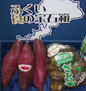 yH~MtgzԌ@䂩̂񂹁Iy̓YiZbgzzO ӂ H̕ΔyA-4z e500g^z 800g& xÊÏ 1Kgϔ^2Kg܂2Kg 