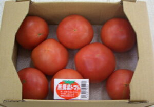 i@򕌁EYIYnYg}g1KyIʕszI[v