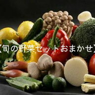定期購入がお得です。新鮮野菜をお届けします！野菜セット【安心安全】お家でマルシェ！季節の野菜　 お…