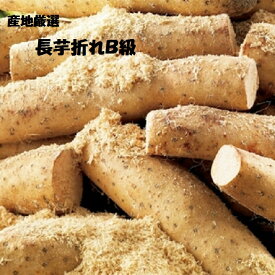 食品ロス企画　北海道・青森・長野産長いもご家庭用B級約3K箱⇒送料無料・お買い得・訳ありB級・折れ・傷・変色あり