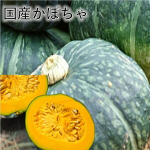 @YZy5-71P[Xz@k̑n܂łтڂ@Iڂ@mڂ@Ȃ񂫂