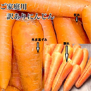 HiX@@YlQB1KGE5Kg󂠂荑Y؁yKiOEEEO獕ݓz܂   VN  ƒp W[X X[W[p Y Lb